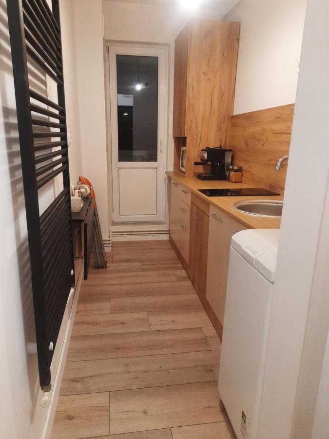 Lyra Apartment Sfântu-Gheorghe エクステリア 写真